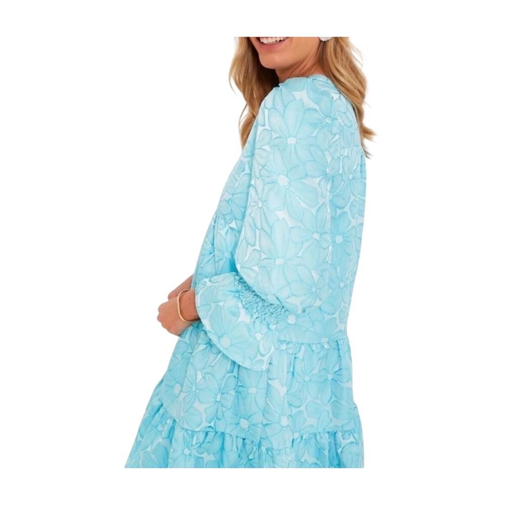 Tuckernuck Pomander Place Blue Daisy Jacquard Kenzo Ruffle Tiered Dress S - Picture 3 of 11
